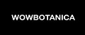 Аналитика бренда WOWBOTANICA на Wildberries