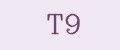 Т9
