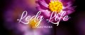 Ledy Life