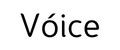 Voice Store