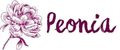 Peonia