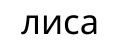 Лиса