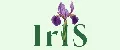И.И.С. IrIs