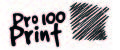 Pro100Print