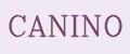 CANINO