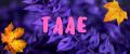 TAAE
