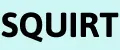 СКВИРТ