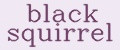 black squirrel