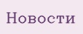 Аналитика бренда Новости на Wildberries
