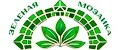 Зеленая мозаика