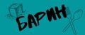 БАР-ИН