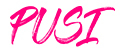PUSI