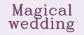 Magical wedding