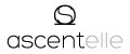Аналитика бренда ASCENTELLE на Wildberries