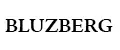 BLUZBERG