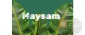 Maysam