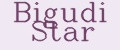 Bigudi Star