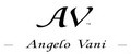 Angelo Vani