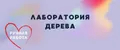 Лаборатория дерева