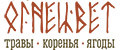 Аналитика бренда ОГНЕЦВЕТ на Wildberries