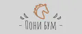 Пони Бум