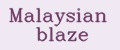 Malaysian blaze