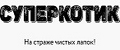 Суперкотик