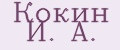 Кокин И. А.
