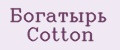 Аналитика бренда Богатырь Cotton на Wildberries