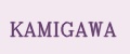 Аналитика бренда KAMIGAWA на Wildberries
