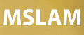 MSLAM
