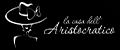 la casa dell’ Aristocratico