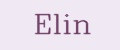 Elin