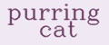 purring cat