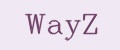 WayZ