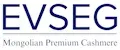 EVSEG