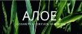 АЛОЕ