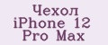 Чехол iPhone 12 Pro Max