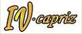 Аналитика бренда IV-CAPRIZ на Wildberries