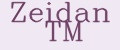 Zeidan TM