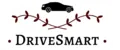 DriveSmart