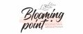 Аналитика бренда blooming point на Wildberries