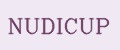 Аналитика бренда NUDICUP на Wildberries