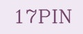 17PIN