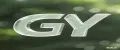 GY SMART