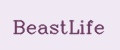 Аналитика бренда BeastLife на Wildberries