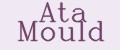 ATA Mould