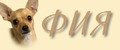 Фия