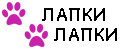 ЛАПКИ-ЛАПКИ