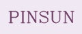 PINSUN